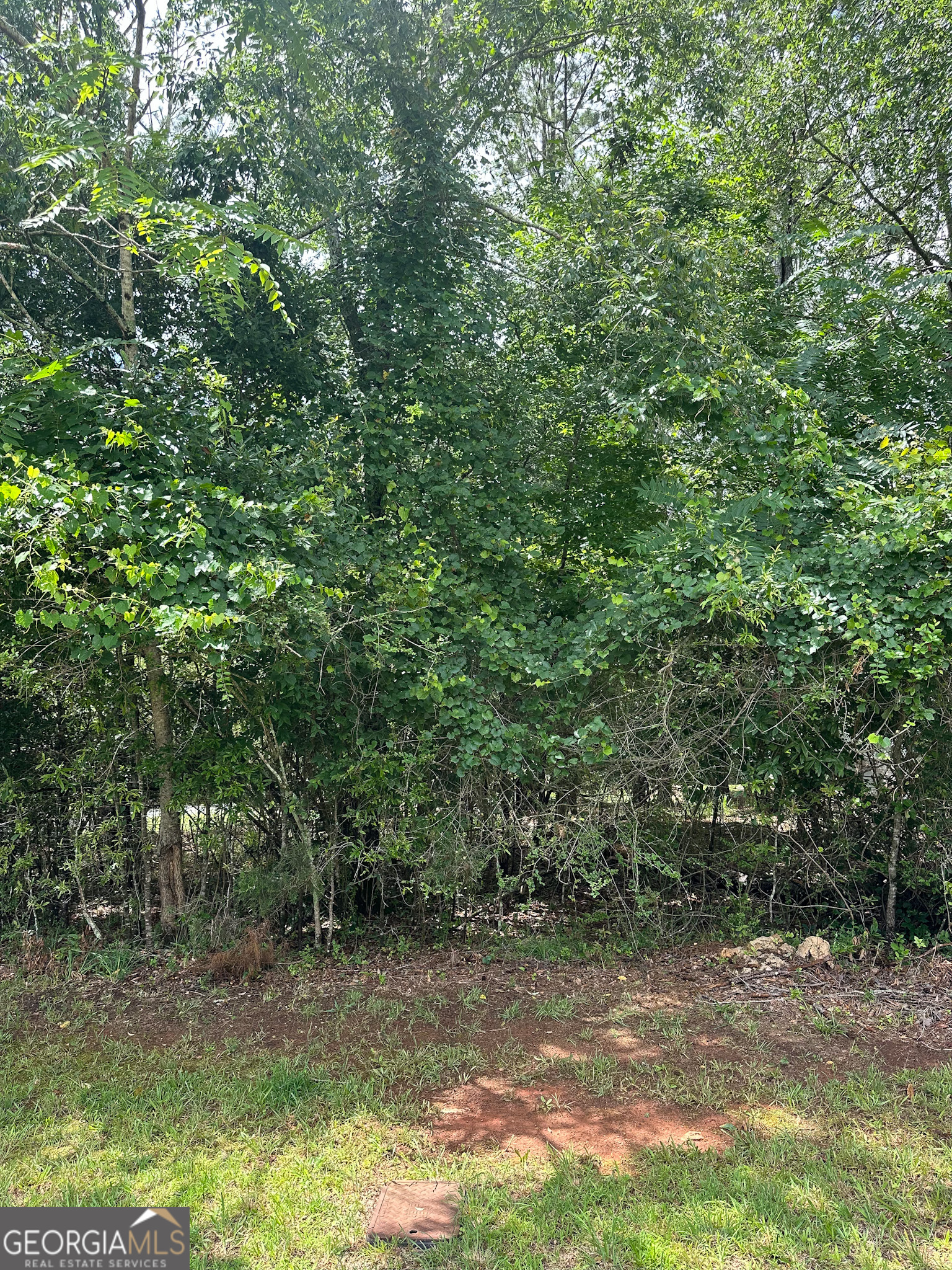 1361 Arborgate Street Madison, GA 30650 - Photo 2 of 3 a view of a yard with trees