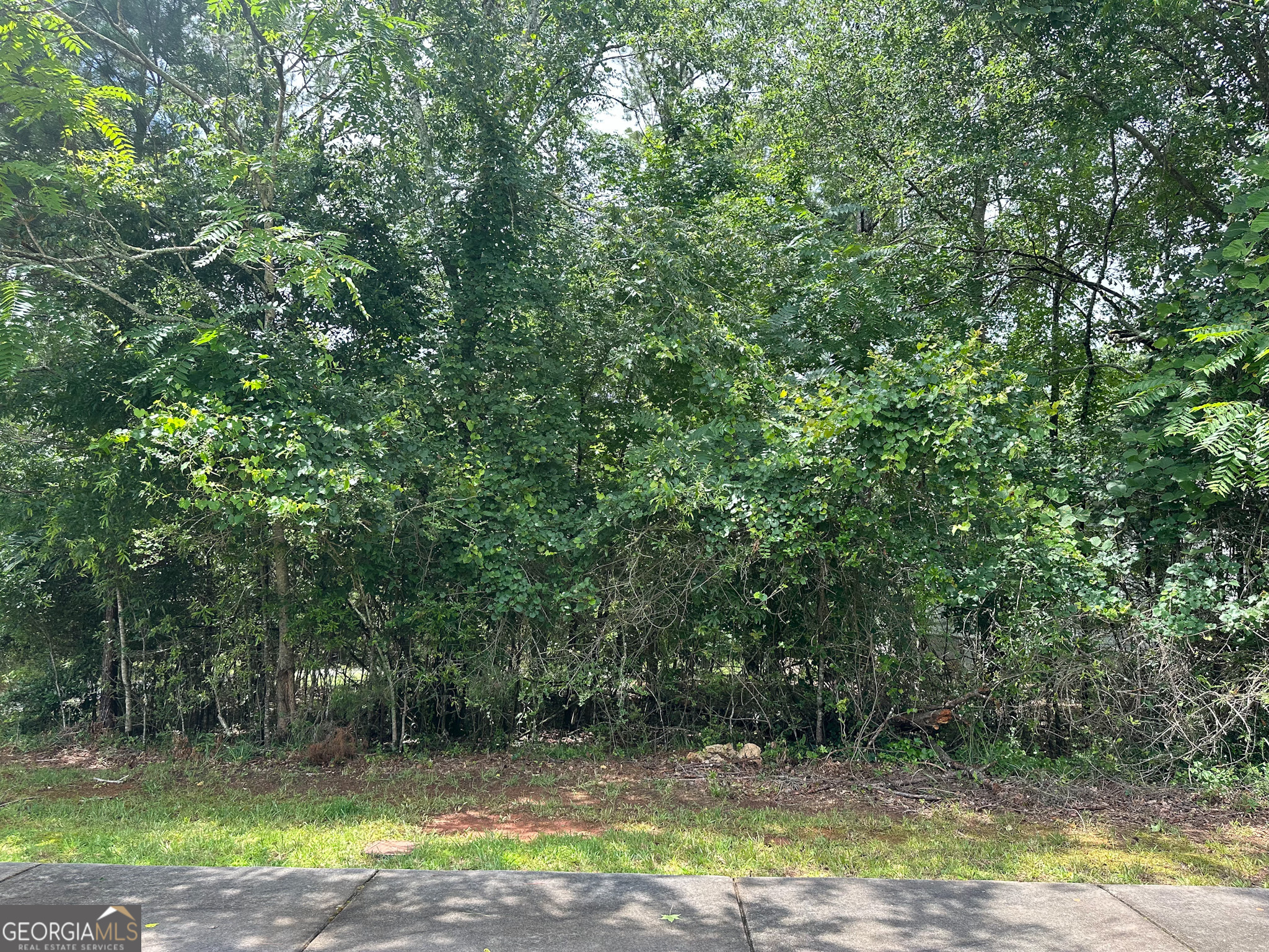 1361 Arborgate Street Madison, GA 30650 - Photo 3 of 3 a view of a yard