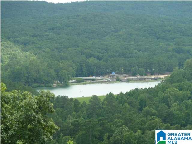1161 Stagg Run Trail, Unit 4 Pelham, AL 35124 - Photo 1 of 1