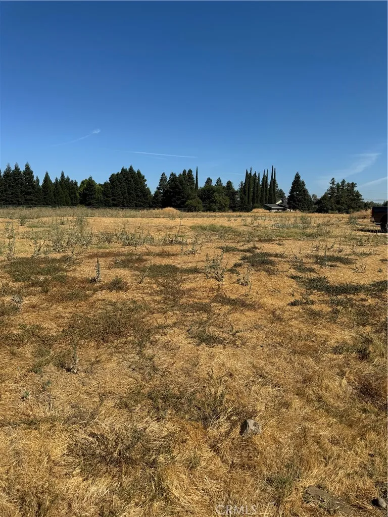 4 Myrtle Merced, CA 95340 - Photo 6 of 6