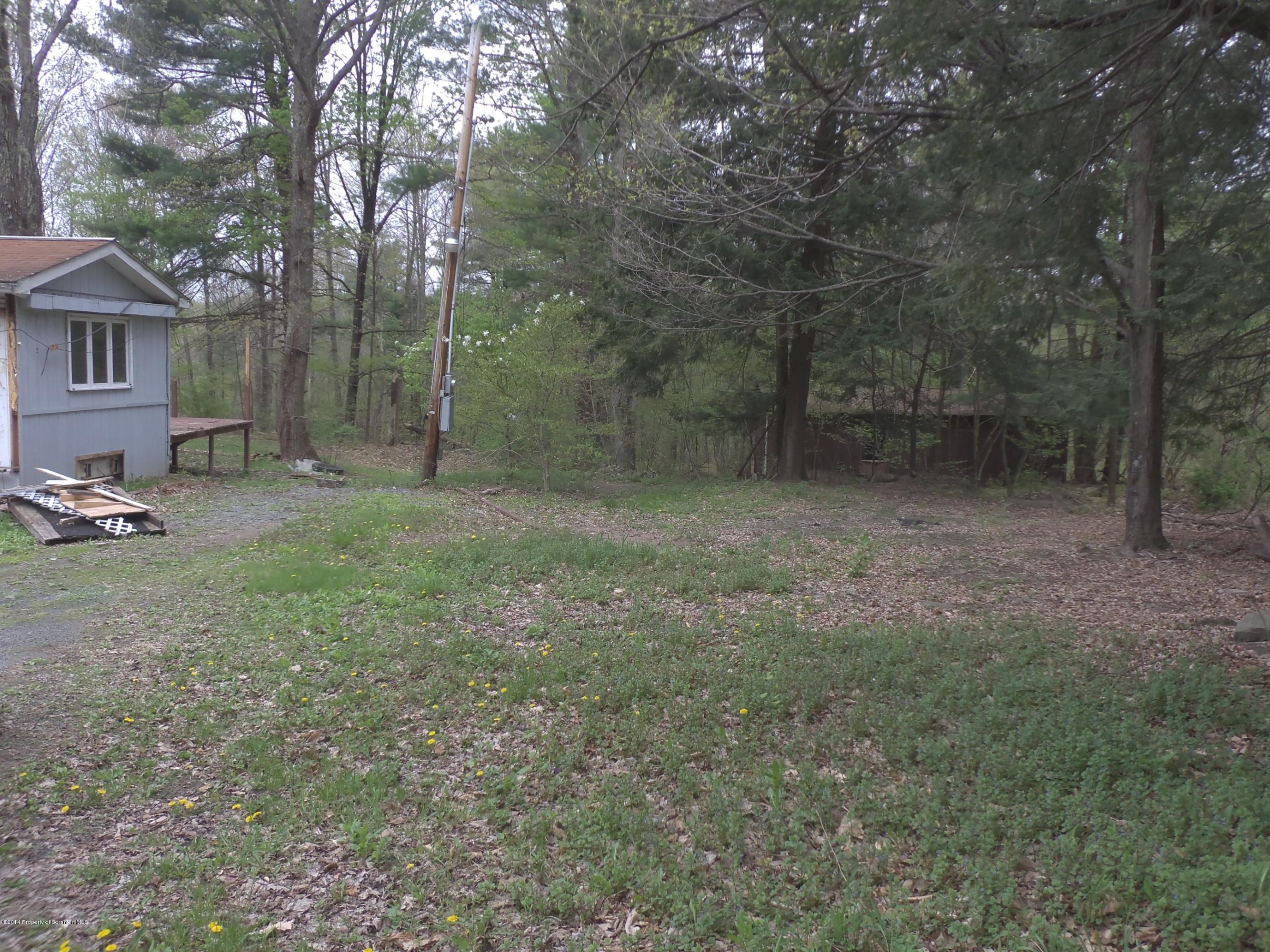15 Padula Road Tunkhannock, PA 18657 - Photo 3 of 4 a view of a backyard with large trees