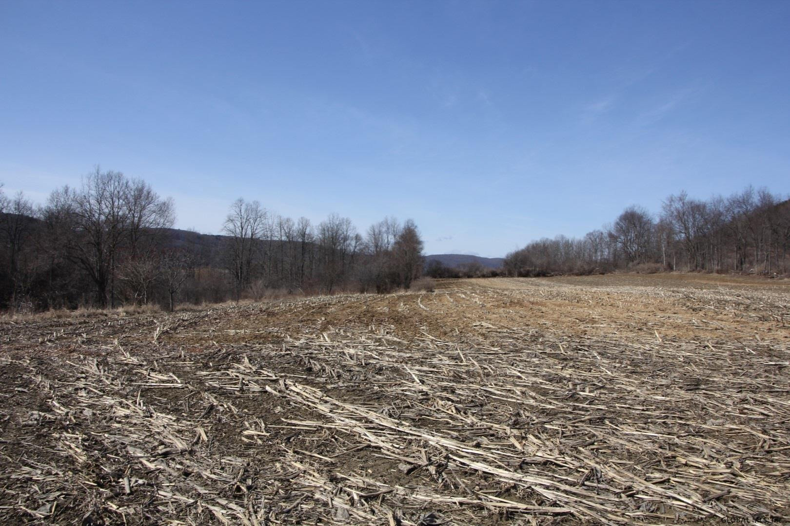 306 Hill Road Cobleskill, NY 12043 - Photo 16 of 19 Photo 16