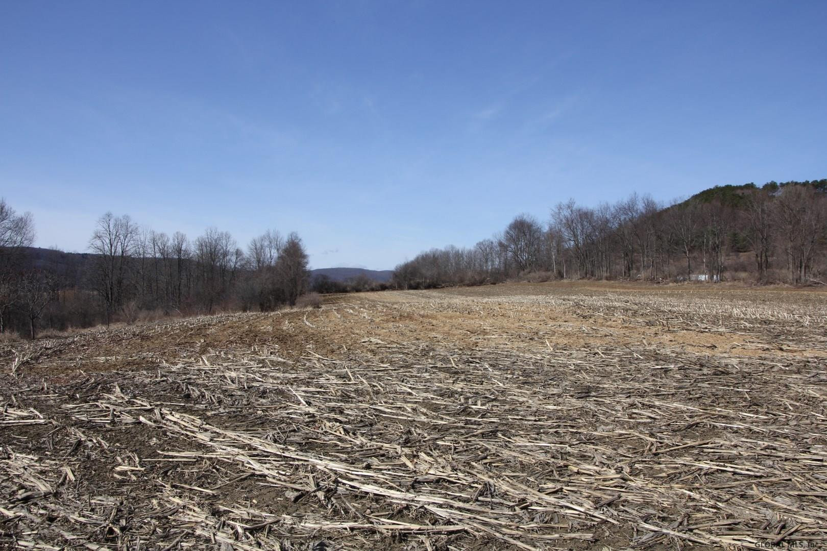306 Hill Road Cobleskill, NY 12043 - Photo 18 of 19 Photo 18