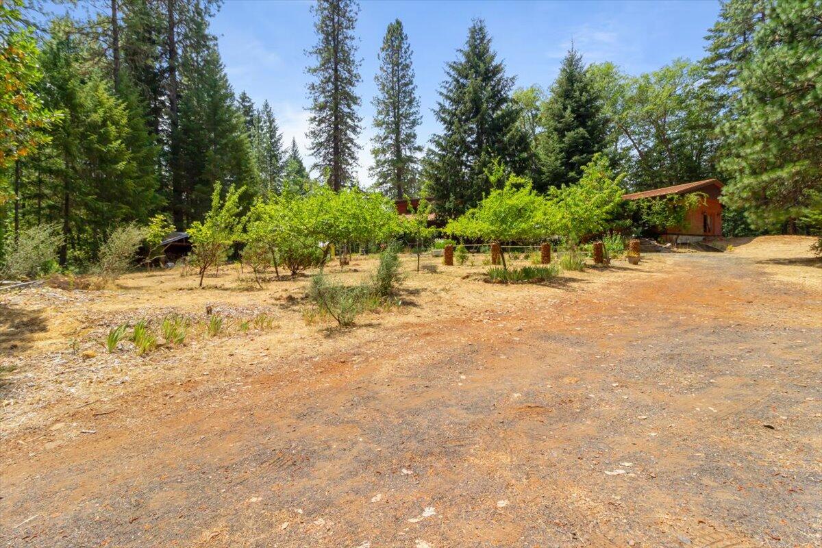 422 Onion Mountain Road Wilderville, OR 97543 - Photo 43 of 52