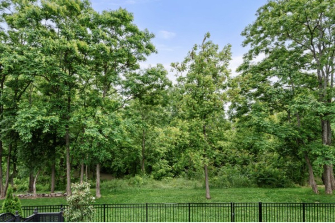 155 Splendor Ridge Drive Franklin, TN 37064 - Photo 61 of 70 a backyard of a house with lots of green space