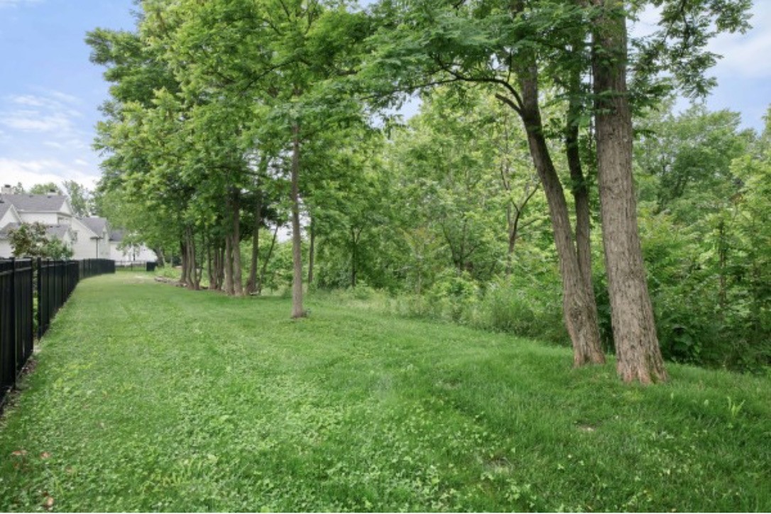 155 Splendor Ridge Drive Franklin, TN 37064 - Photo 62 of 70 a view of outdoor space with green field and trees