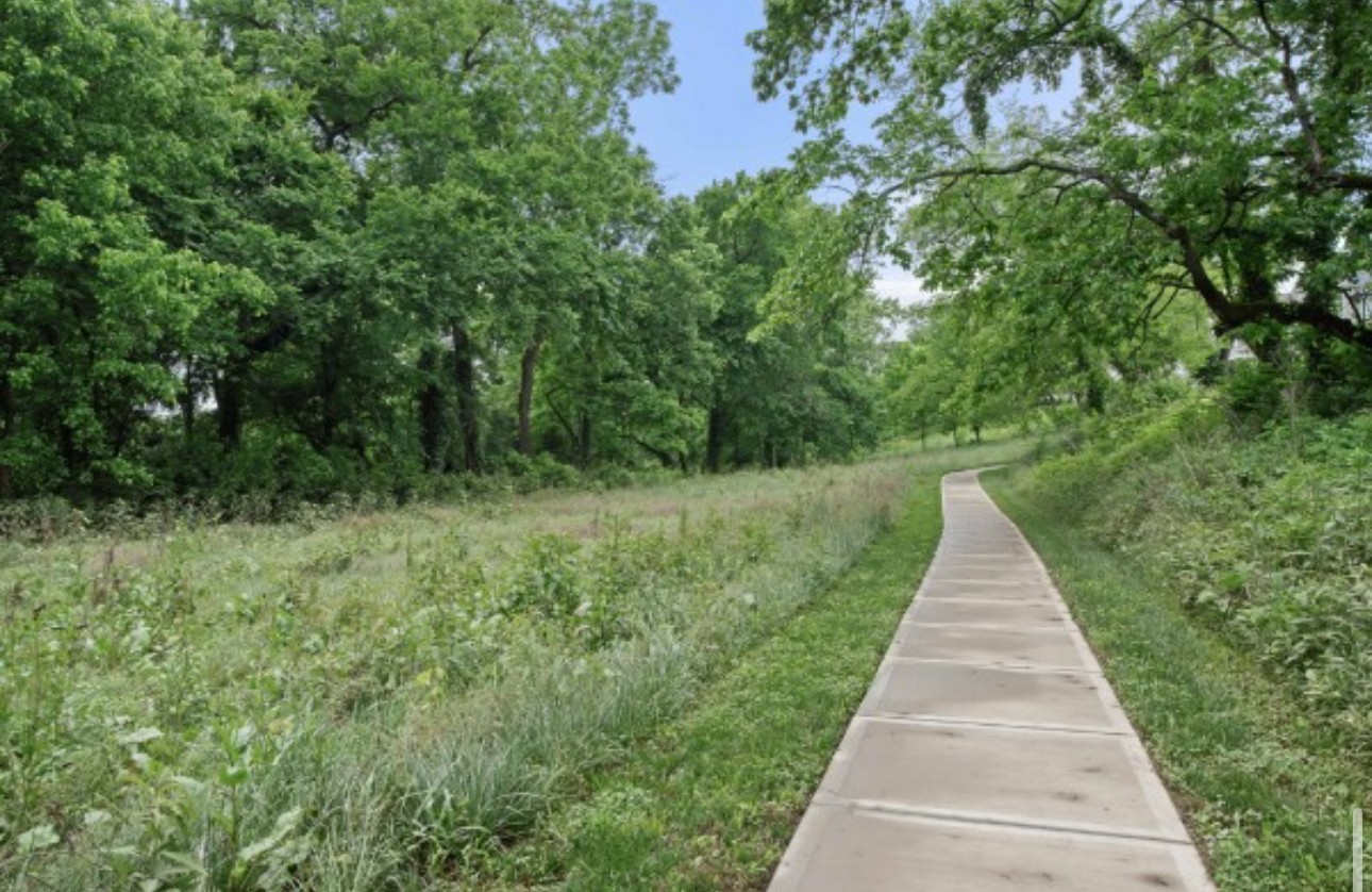 155 Splendor Ridge Drive Franklin, TN 37064 - Photo 64 of 70 a view of flowing water with large trees