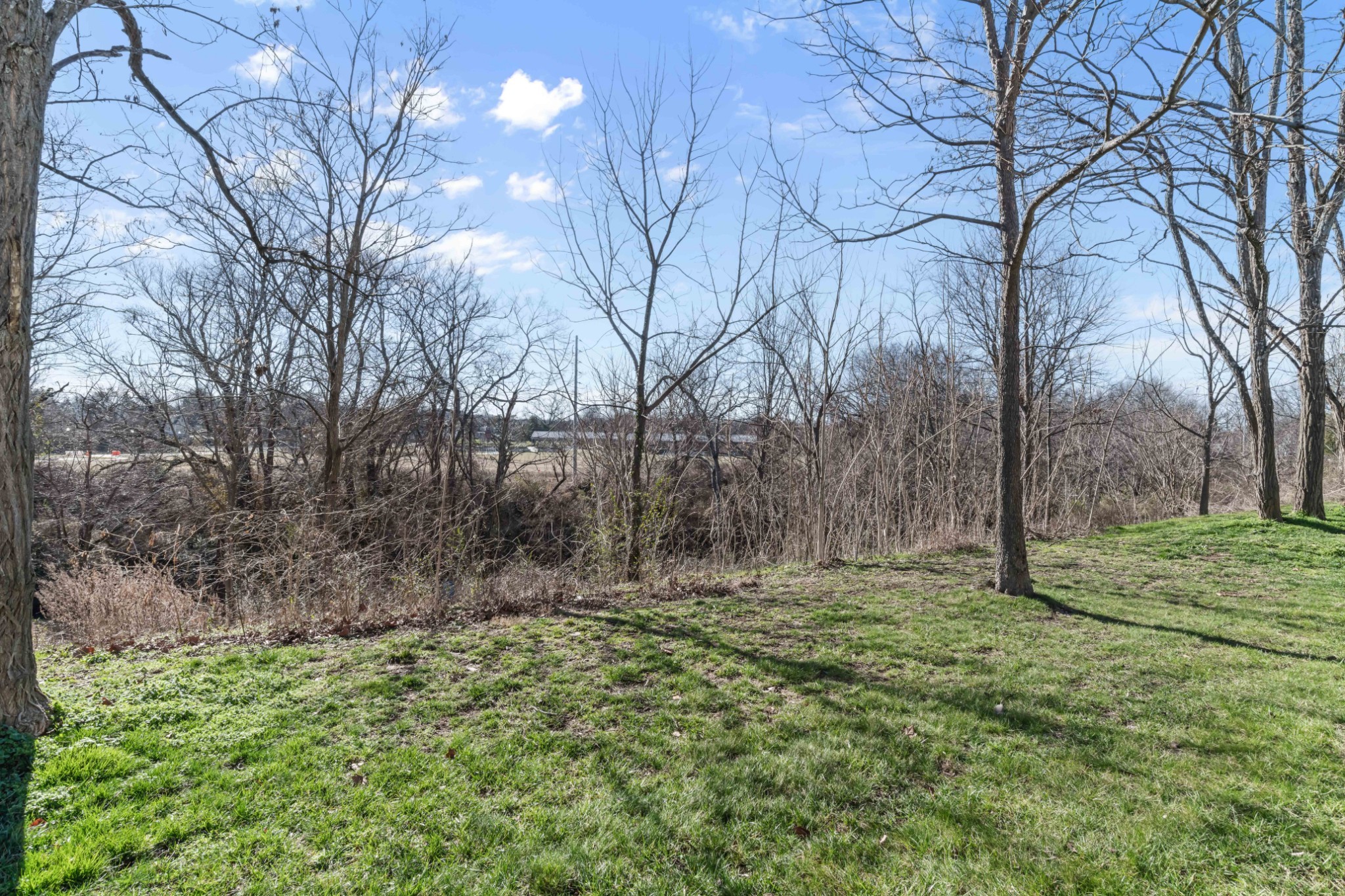 155 Splendor Ridge Drive Franklin, TN 37064 - Photo 65 of 70 a big yard with lots of green space and plants