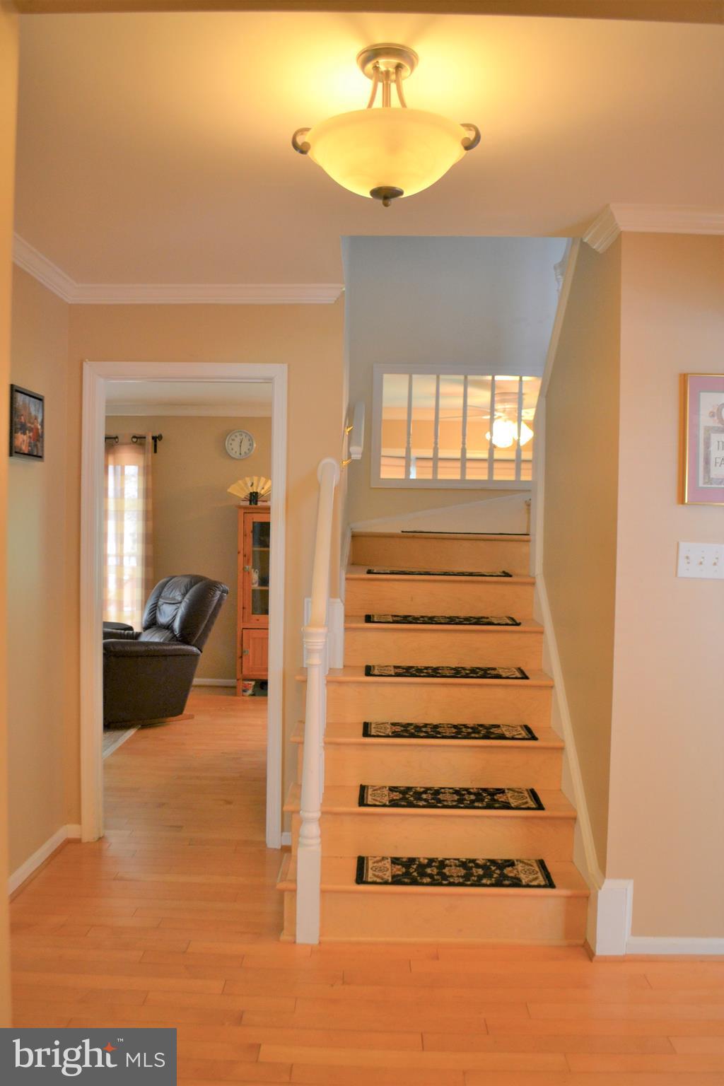 10106 Marshall Pond Road Burke, VA 22015 - Photo 40 of 94 Gallery Image 40