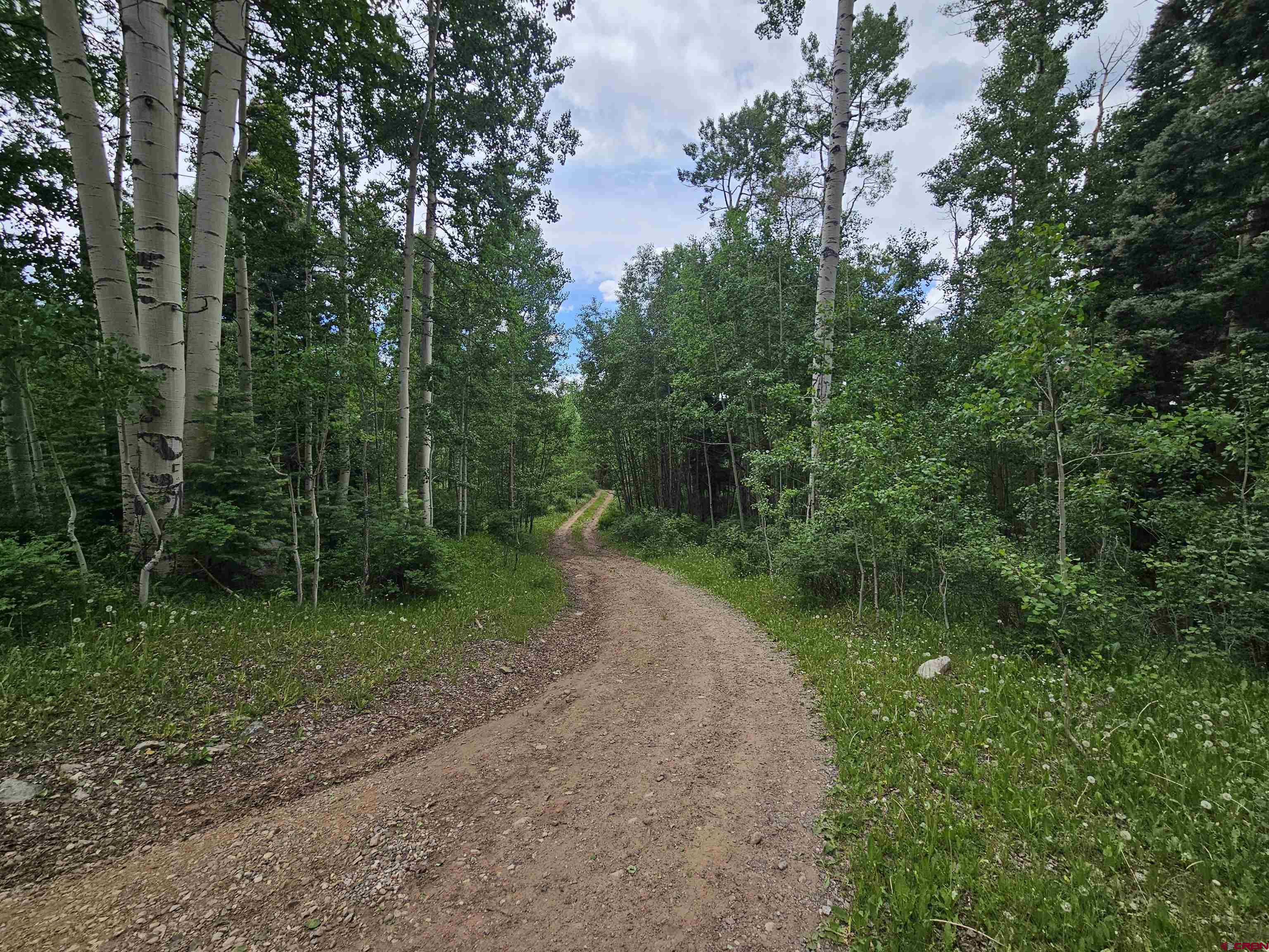 4566 Middle Mountain Road Bayfield, CO 81122 - Photo 8 of 12