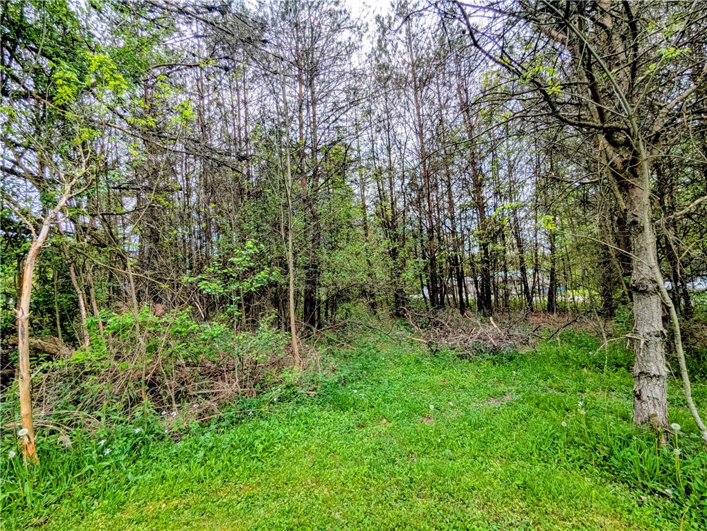 0 Two 2 Mile Road Port Allegany, PA 16743 - Photo 11 of 29