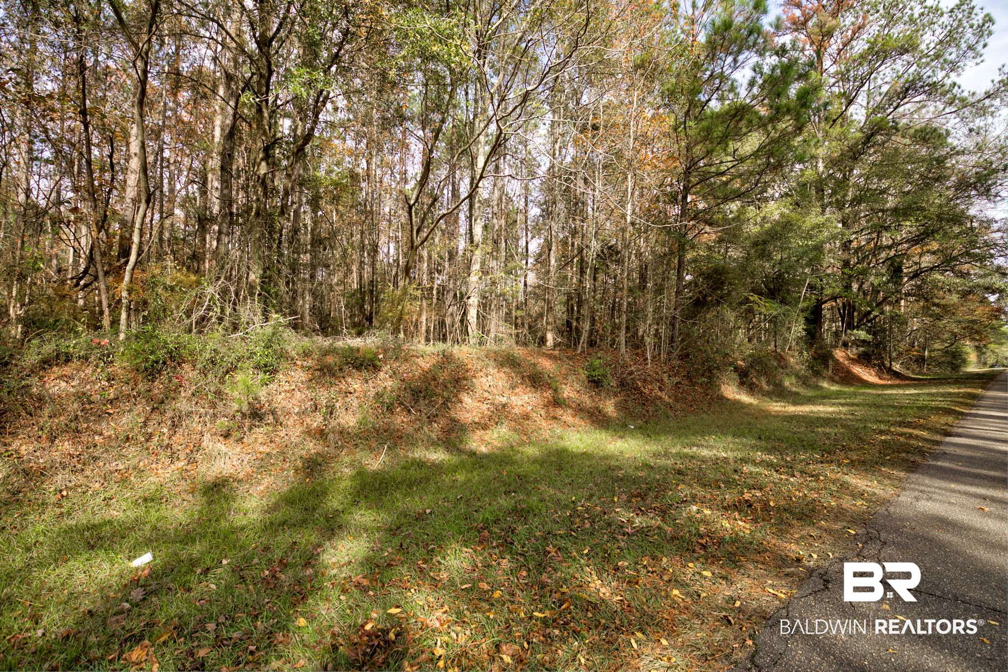 Old Greenville Road Evergreen, AL 36401 - Photo 2 of 16