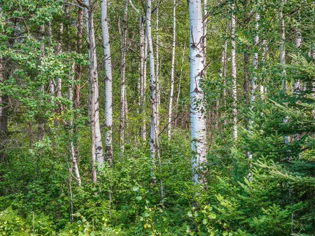 $240,000 | 21 Babbitt Mn 55706, Babbitt, MN 55706