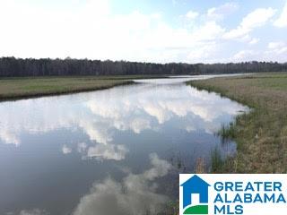 Pioneer Way, Unit 2 Sterrett, AL 35147 - Photo 5 of 24