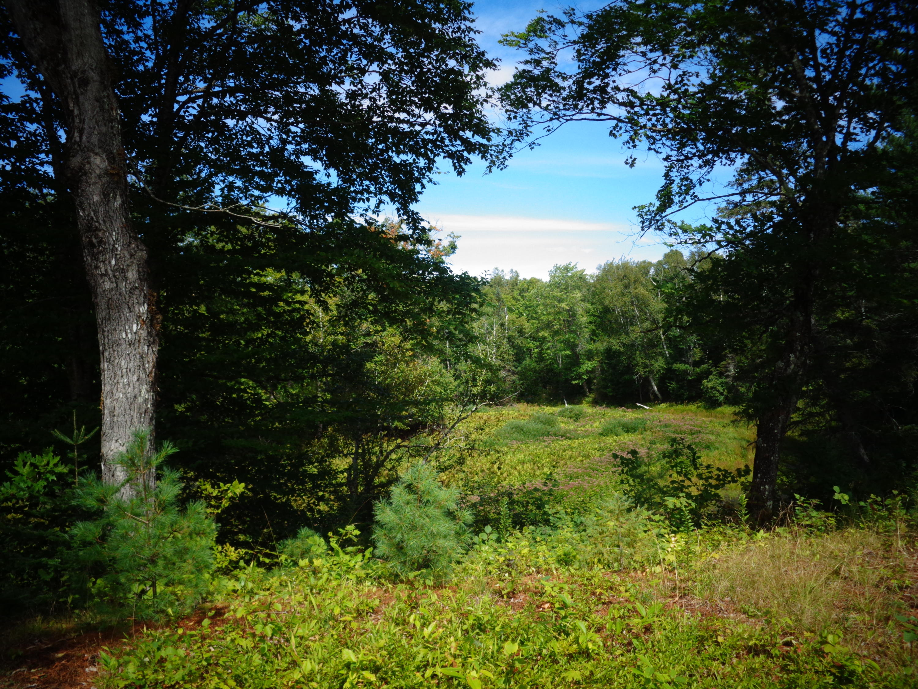 300 Wilson Stream Road Willimantic, ME 04443 - Photo 63 of 84 DSC03966