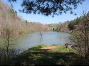 Tba Denton Valley Road Abingdon, VA 24211 - Photo 13 of 24 View from back of a cove