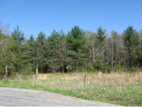 Tba Denton Valley Road Abingdon, VA 24211 - Photo 7 of 24 Bluff site along the water