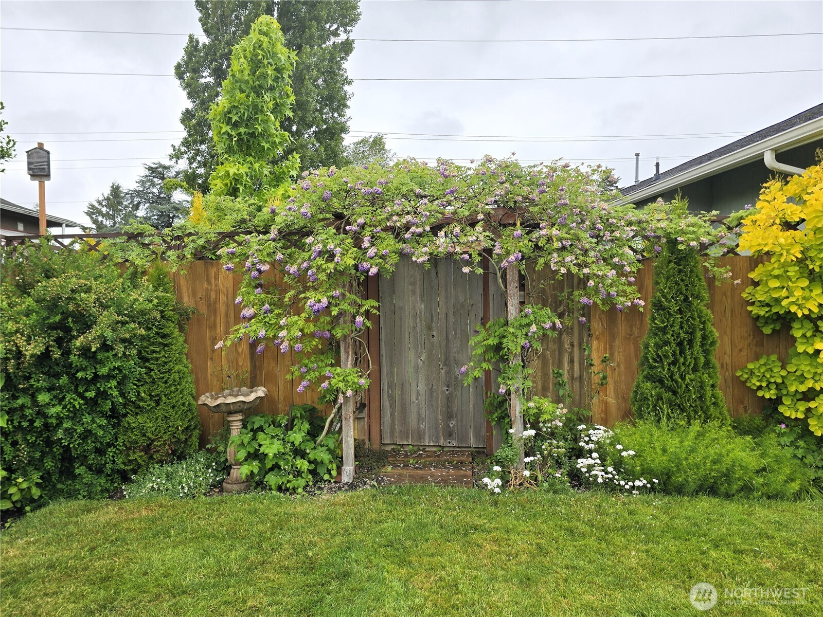 1102 West Anderson Street Elma, WA 98541 - Photo 32 of 40 a view of a garden with plants and large trees