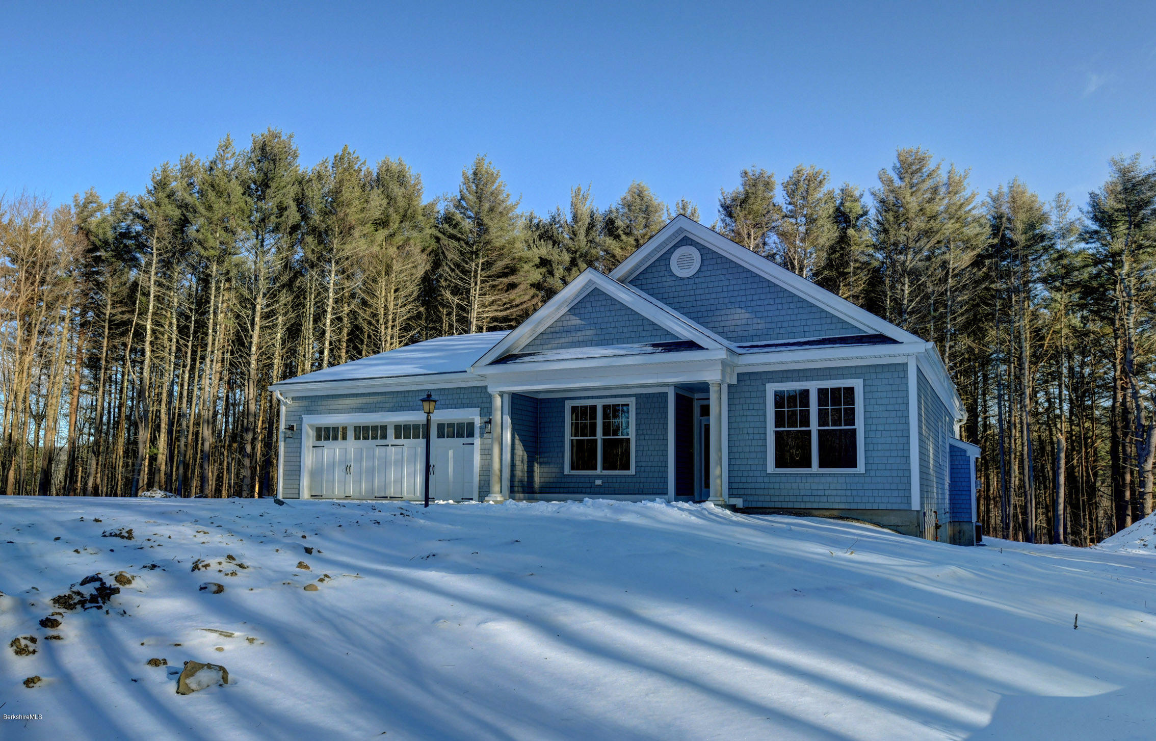 a view of a house with a garden