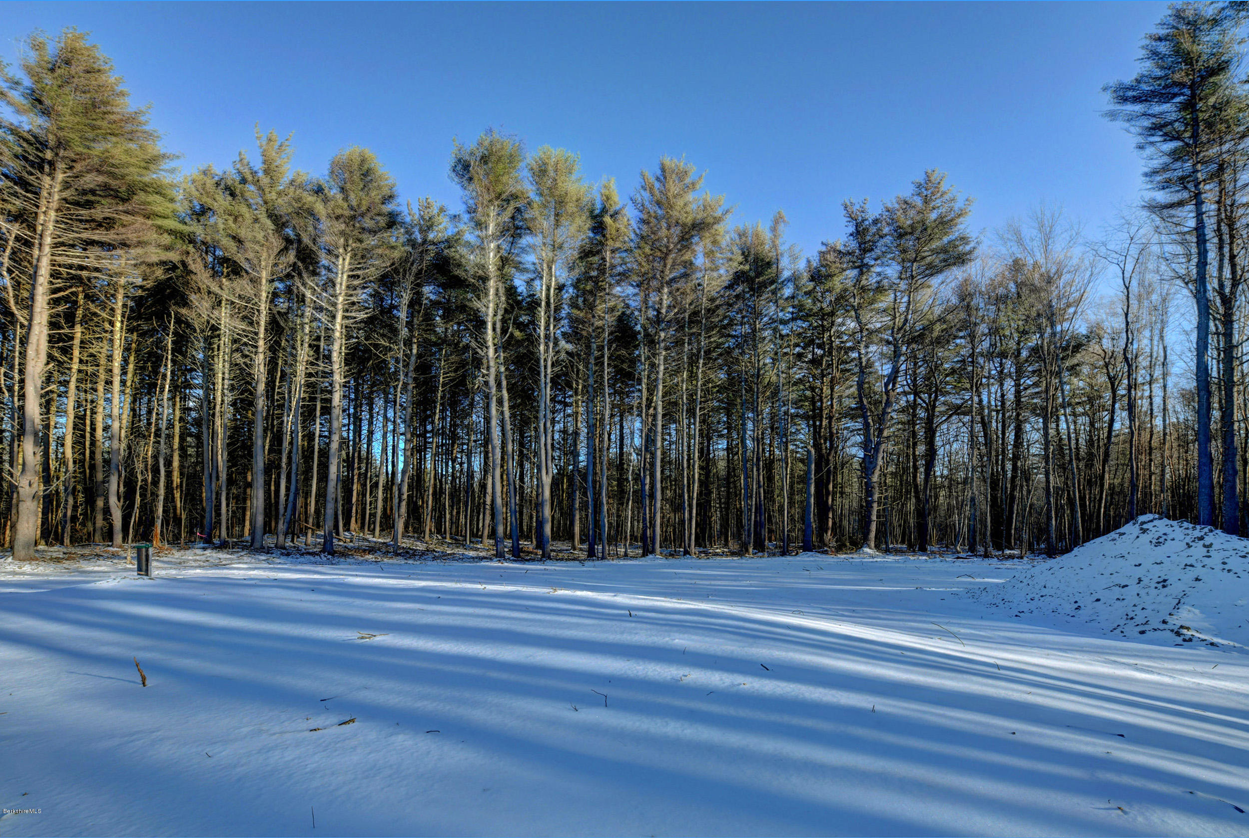 1 B West Dale Road Stockbridge, MA 01262 - Photo 26 of 26 a view of a backyard of the house