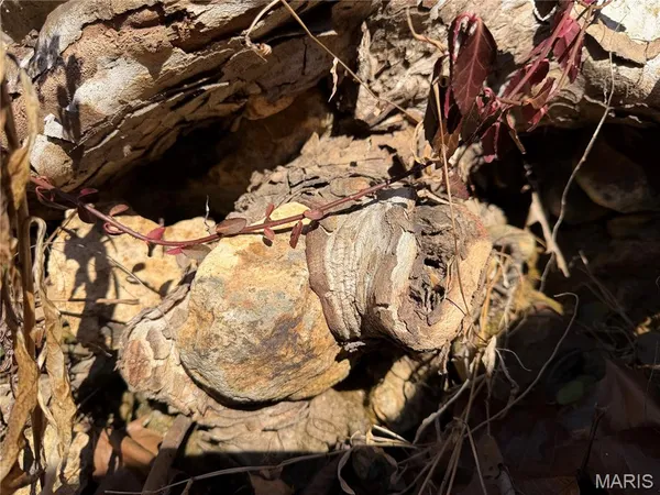 $324,900 | 551 Bluffton Road, Rhineland, MO 65069