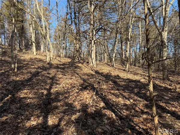 $324,900 | 551 Bluffton Road, Rhineland, MO 65069