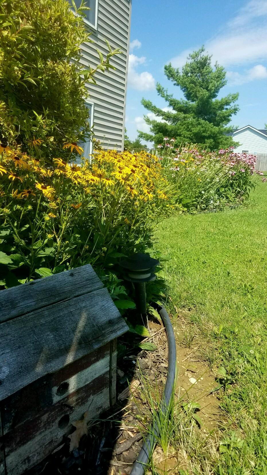 734 Ghormley Road Washington Court House, OH 43160 - Photo 11 of 39 734 ghorm back landscape