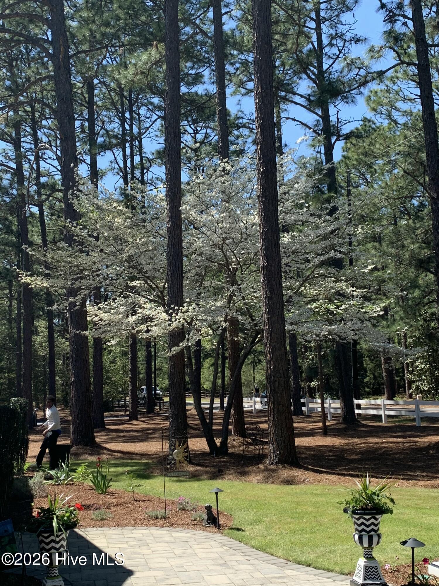 700 Linden Road Pinehurst, NC 28374 - Photo 52 of 59 IMG_20260103_122638 (5)