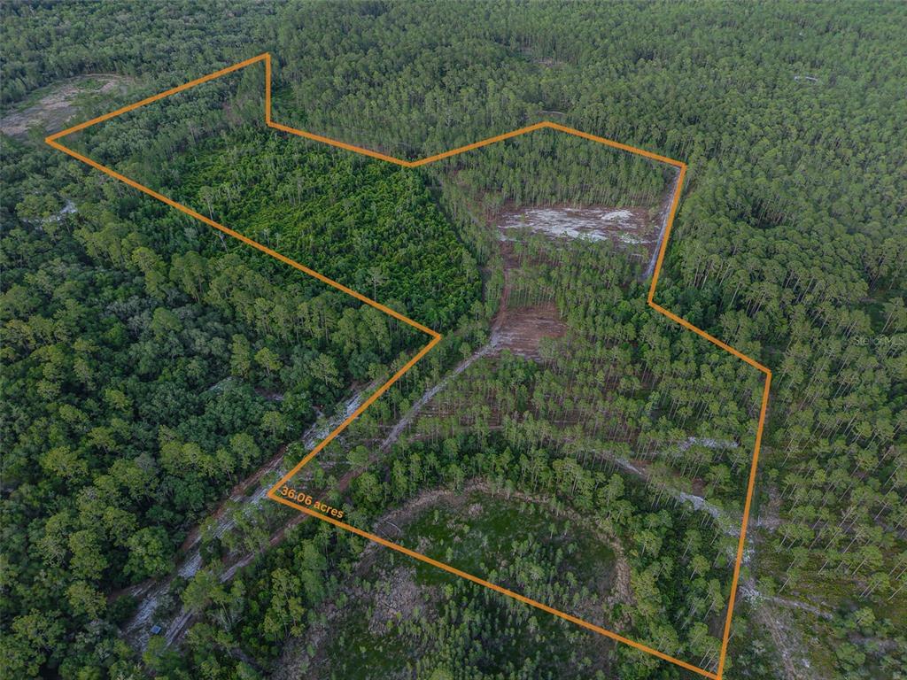 Northeast 150th Avenue Road Fort McCoy, FL 32134 - Photo 22 of 48 Gallery Image 22