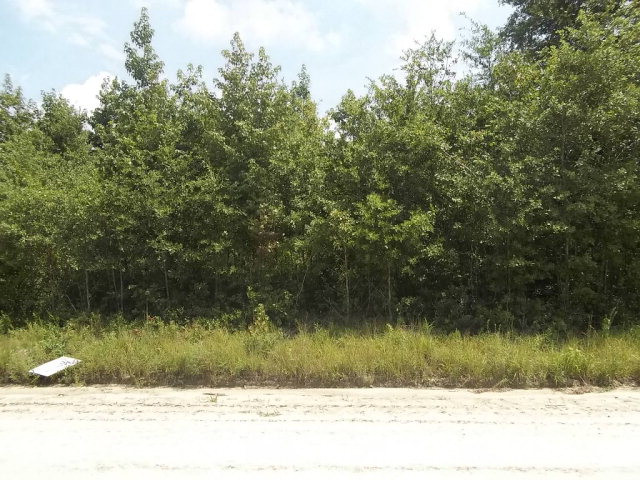 0 Majer Road, Unit LOT C52 Rowesville, SC 29133 - Photo 1 of 4 Main View