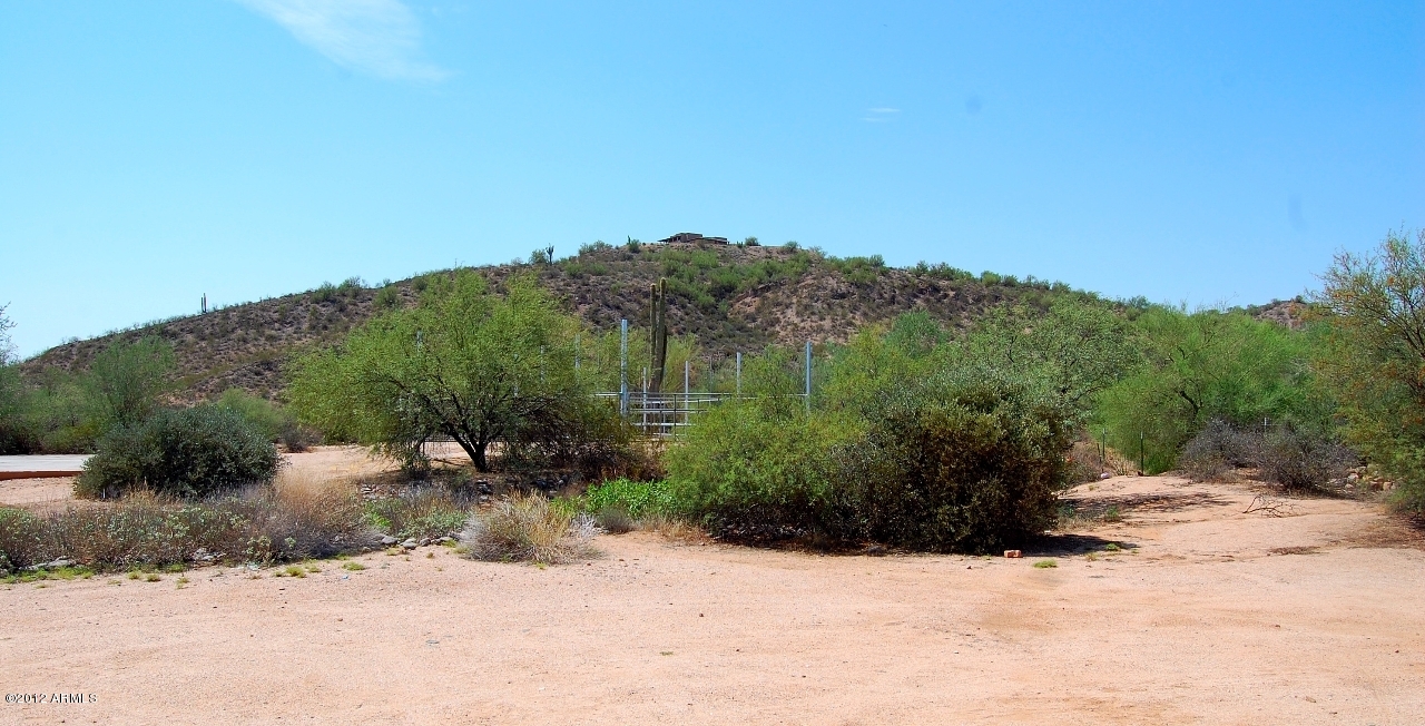 27206 North 176th Street Rio Verde, AZ 85263 - Photo 31 of 44 Backyard