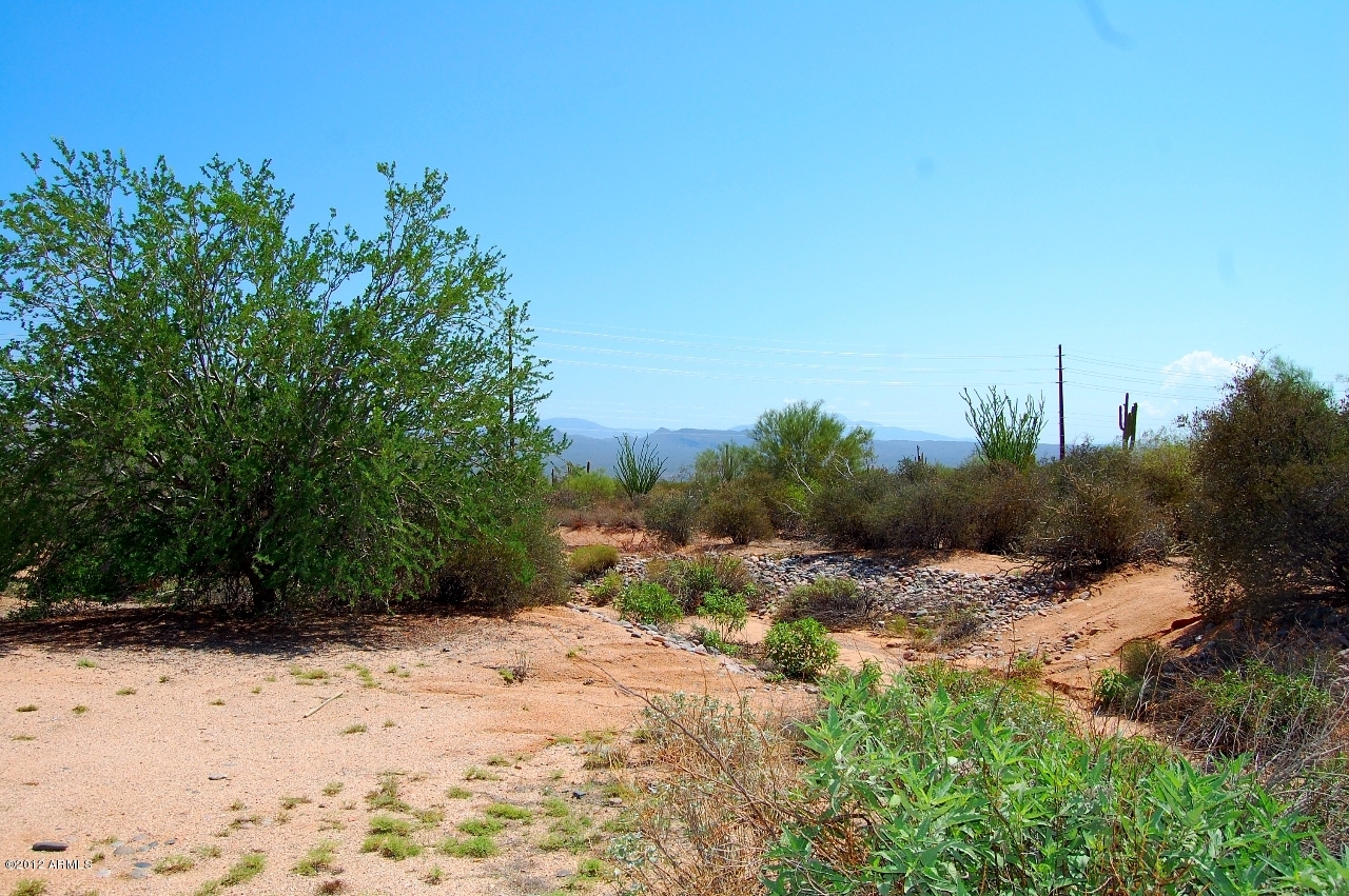 27206 North 176th Street Rio Verde, AZ 85263 - Photo 32 of 44 Backyard