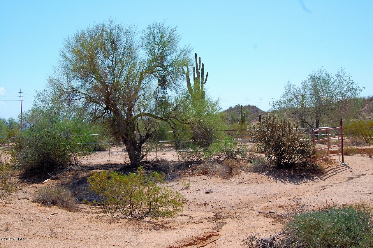 27206 North 176th Street Rio Verde, AZ 85263 - Photo 36 of 44 Backyard