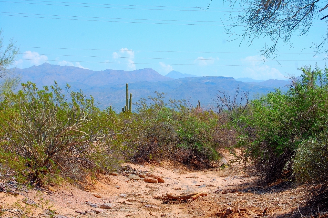 27206 North 176th Street Rio Verde, AZ 85263 - Photo 38 of 44 Mountain Views