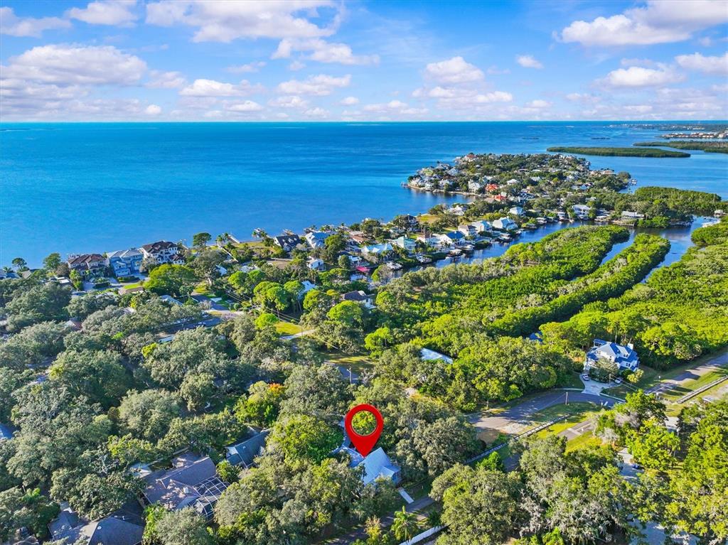 250 Sage Road Palm Harbor, FL 34683 - Photo 19 of 91