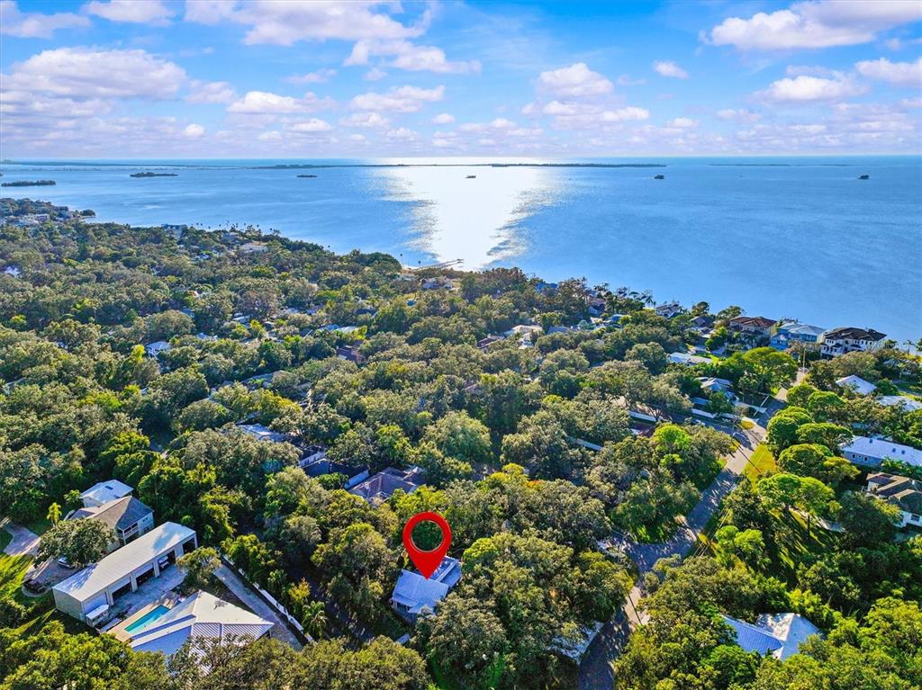 250 Sage Road Palm Harbor, FL 34683 - Photo 3 of 91