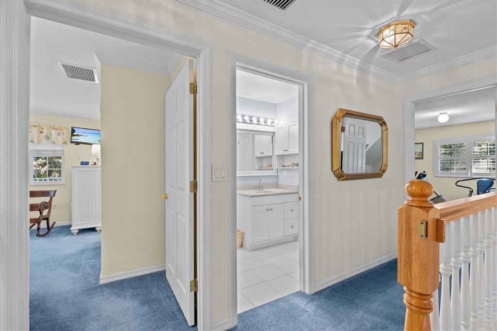 250 Sage Road Palm Harbor, FL 34683 - Photo 46 of 91