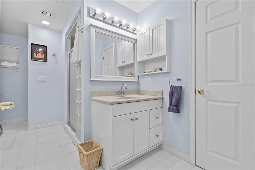 250 Sage Road Palm Harbor, FL 34683 - Photo 54 of 91