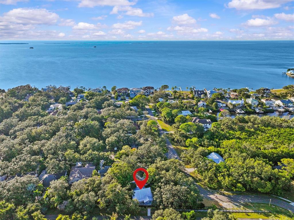 250 Sage Road Palm Harbor, FL 34683 - Photo 77 of 91