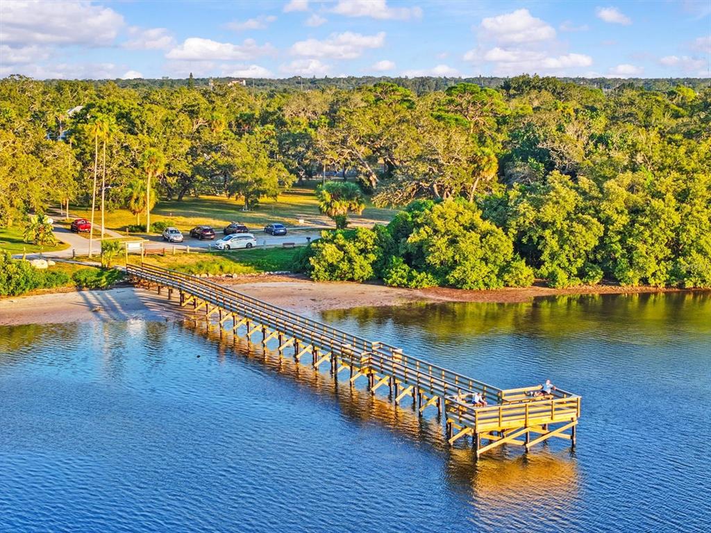 250 Sage Road Palm Harbor, FL 34683 - Photo 78 of 91