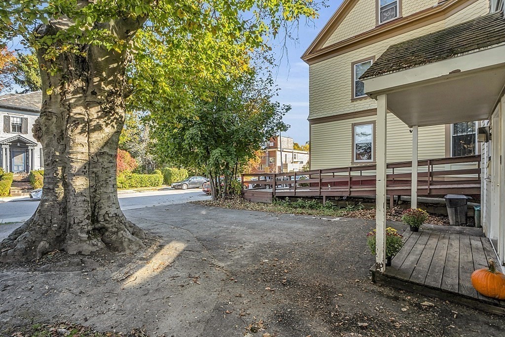 51 A Cedar Street Worcester, MA 01609 - Photo 26 of 27 a view of a yard with a tree