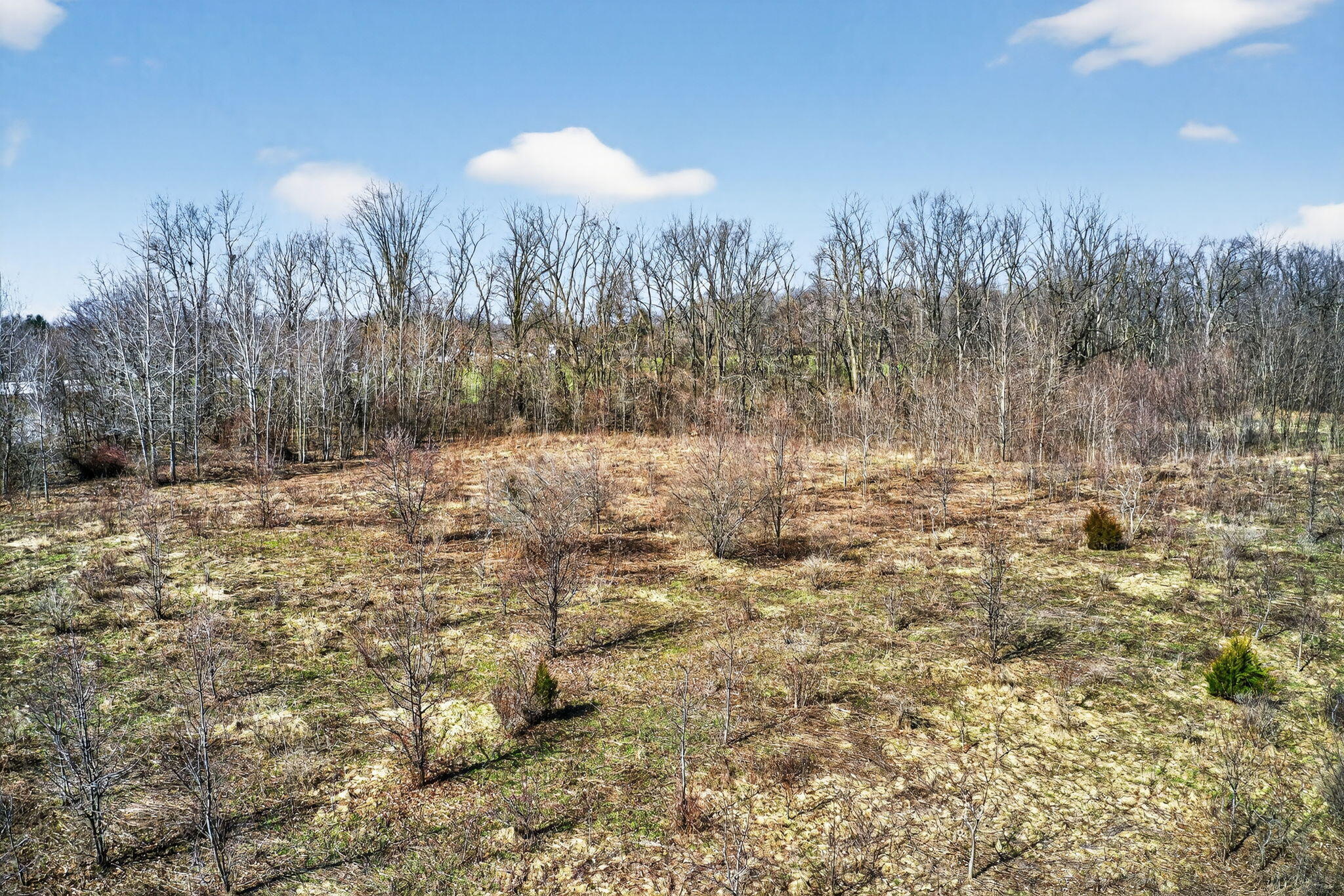 849 Labar Street Cassopolis, MI 49031 - Photo 12 of 18 849 Labar St-12