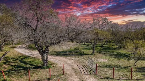 a view of a yard with large trees