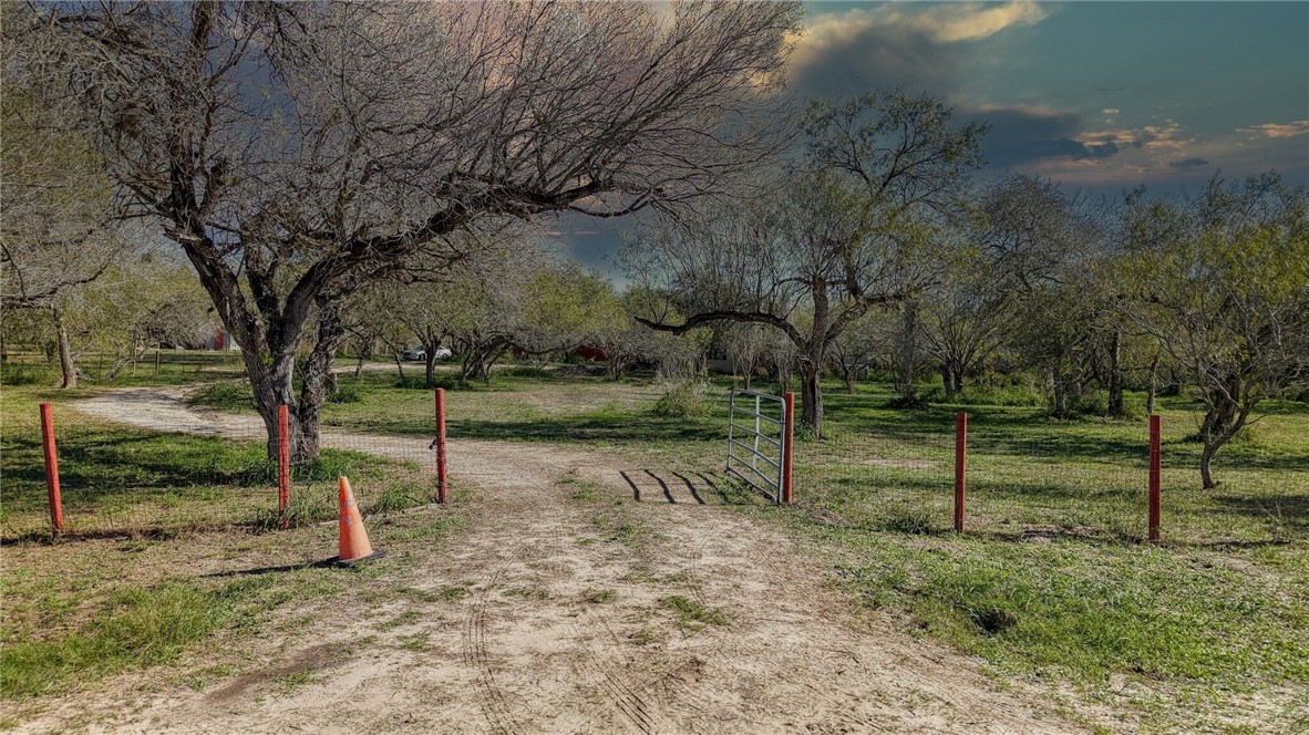 5730 Mockingbird Lane Mathis, TX 78368 - Photo 23 of 40 a view of a park with large trees