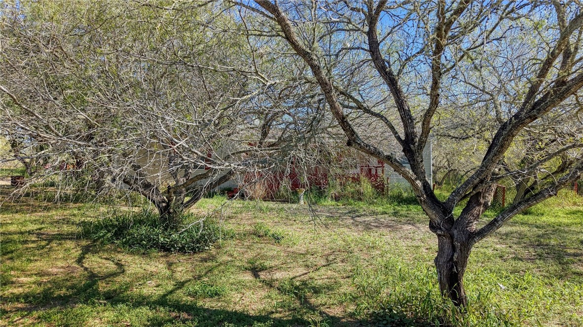5730 Mockingbird Lane Mathis, TX 78368 - Photo 28 of 40 a big yard with lots of green space and plants