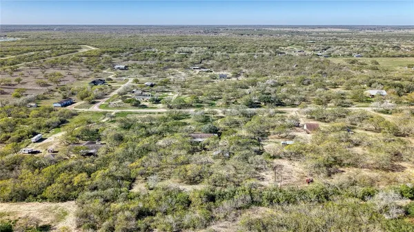 an aerial view of forest