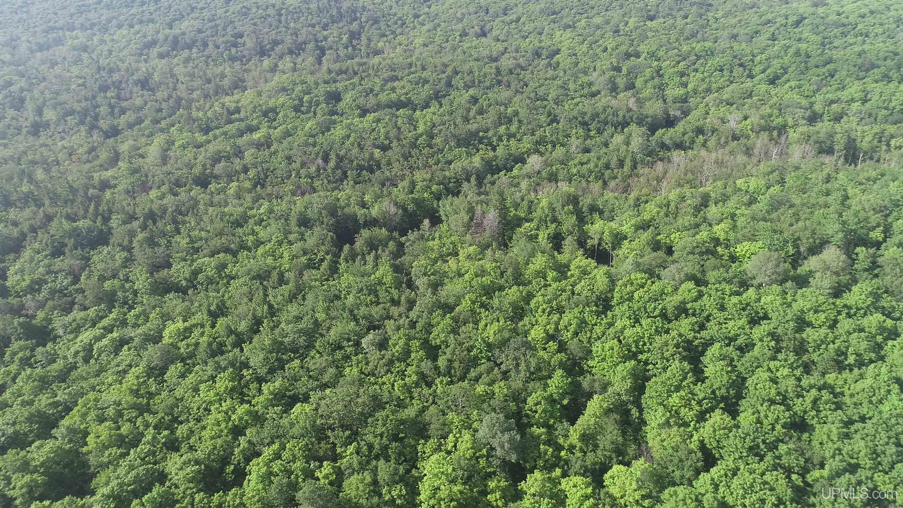 510 Rd Ishpeming Mi 49849 Road Negaunee, MI 49866 - Photo 21 of 33