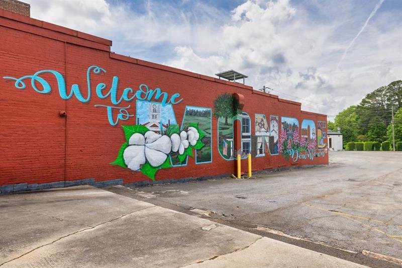 26 Cherokee Court Good Hope, GA 30641 - Photo 42 of 56