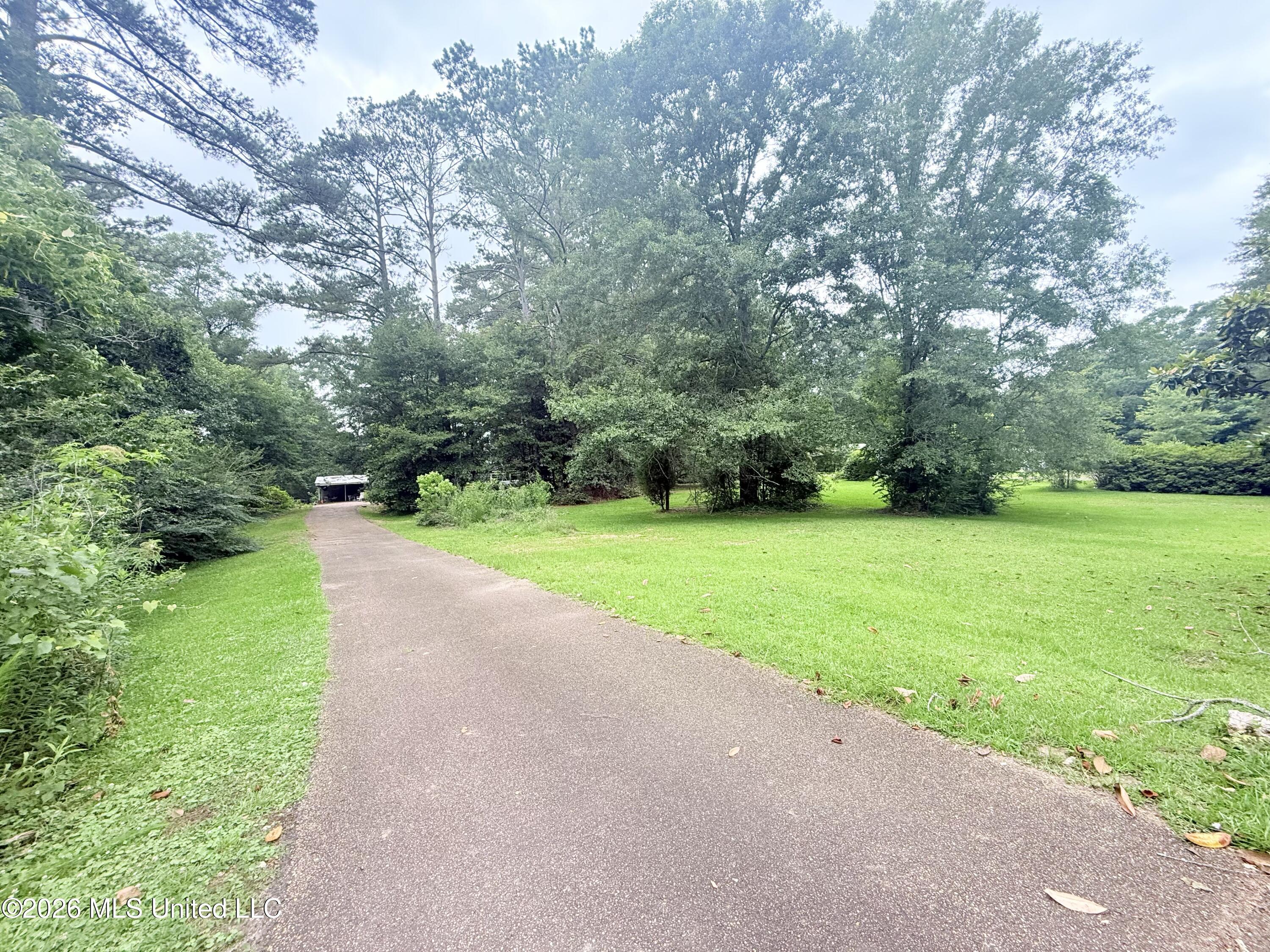 1015 Highway 51 Summit, MS 39666 - Photo 2 of 32 IMG_6653