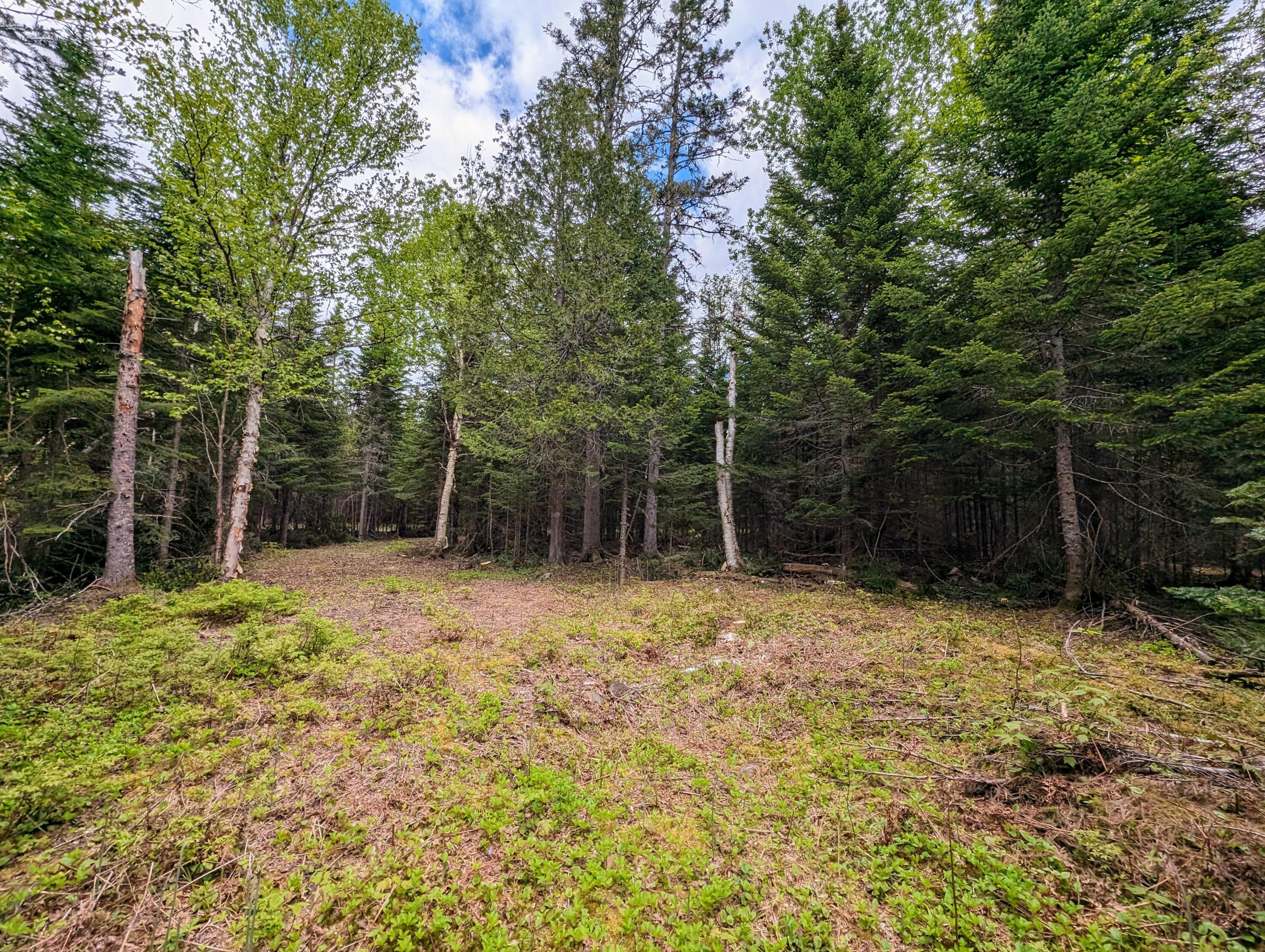 Lot 27-12 Winter Road Rangeley, ME 04970 - Photo 17 of 33 2.6 Acres on Winter Road in Rangeley!